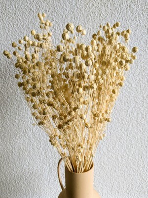 Leine / Flachs gebleicht