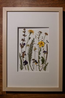 Bild mit gepressten Blumen 23x31