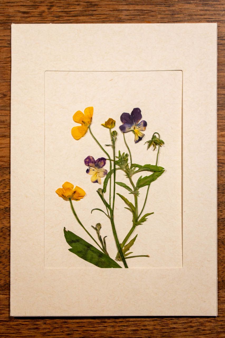 Karten mit gepressten Blumen