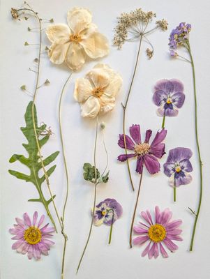 Gepresste Blüten