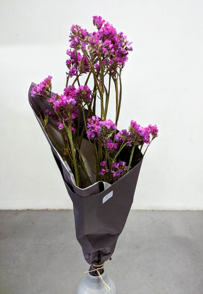 Stadicen Strandflieder Limonium grob Natur