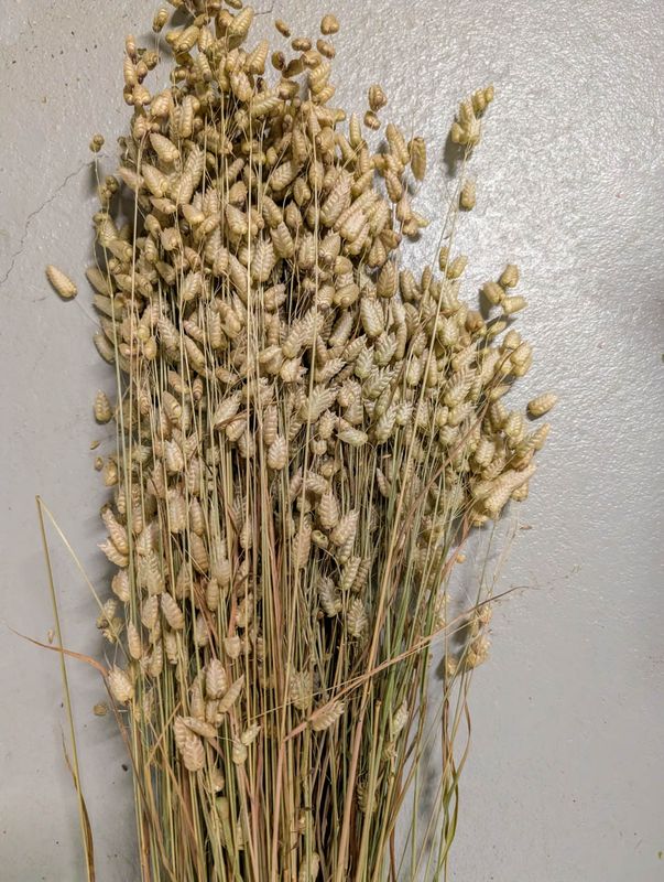 Gras aus Schweizer Produktion