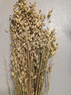 Gras aus Schweizer Produktion