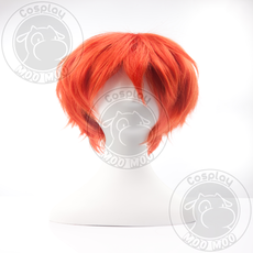 Short Wigs