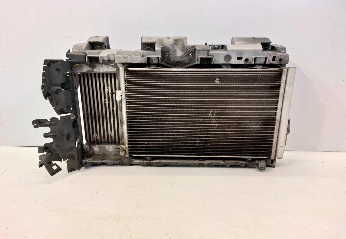 3000257C P9684957680 9686902480 Front panel PEUGEOT 508 I (W23) (2010-2018)