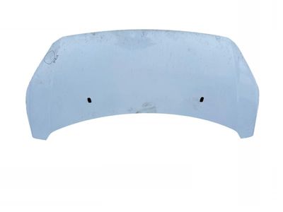 2778119 Motorhaube FORD TRANSIT / TOURNEO CUSTOM I (2012-)