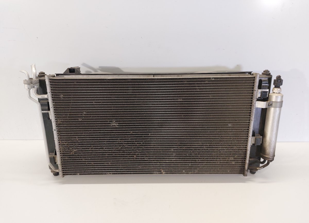 Nissan Leaf Radiator set A18700A28001 Radiator set NISSAN LEAF I (ZE0) (...