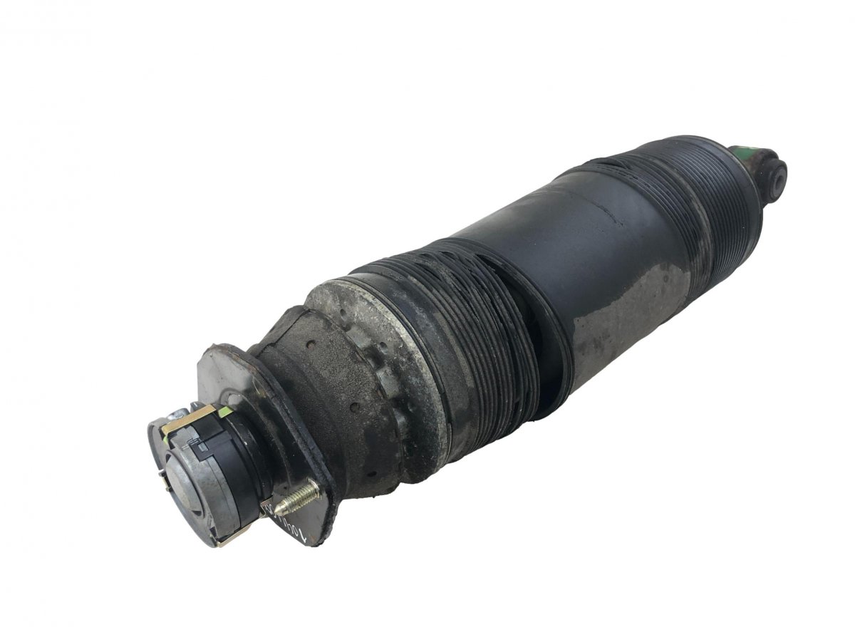 Mercedes-Benz A (W169) Shock Absorber Rear Right
