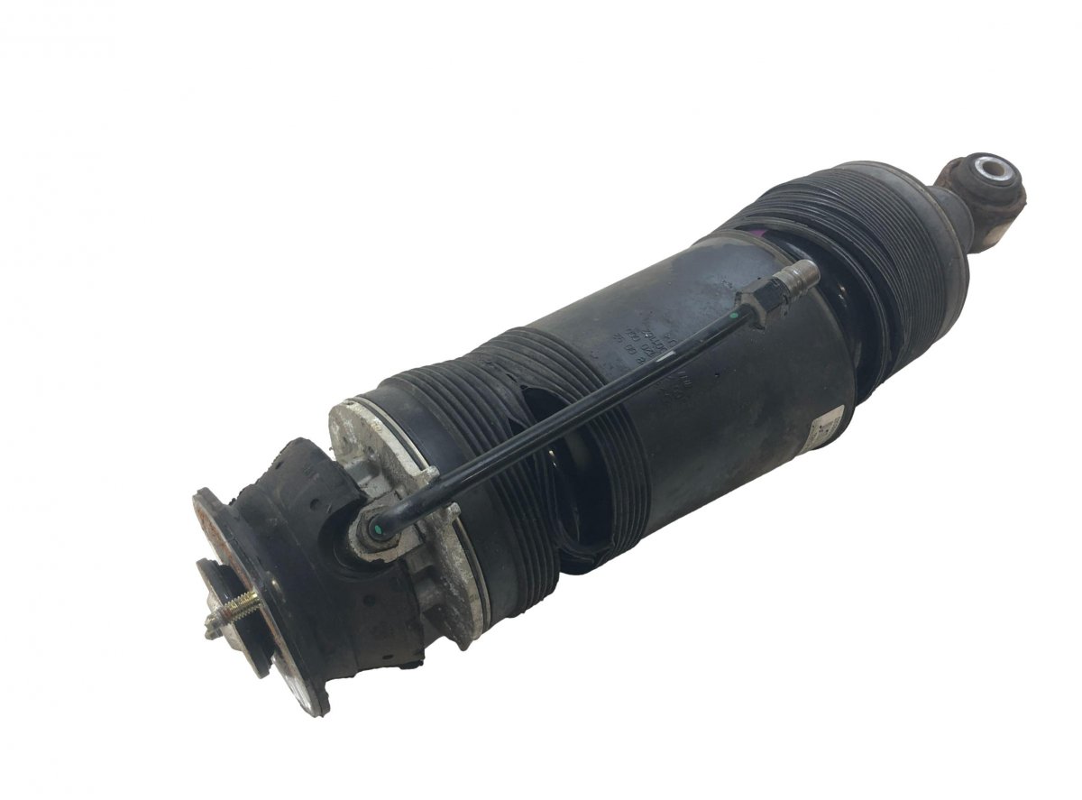 Mercedes-Benz A (W169) Shock Absorber Rear Left