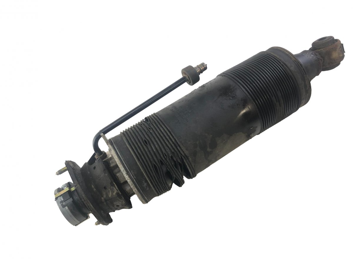 Mercedes-Benz A (W168) Shock Absorber Rear Left