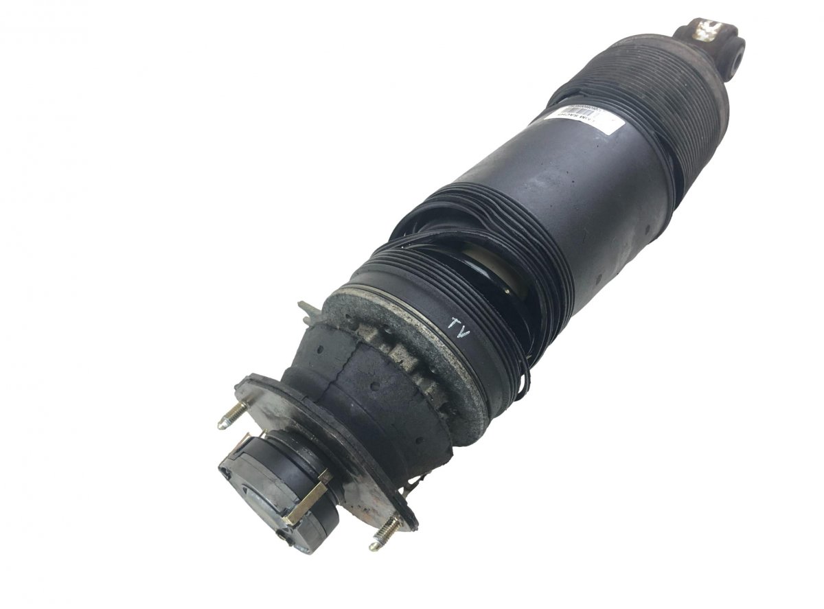Mercedes-Benz A (W168) Shock Absorber Rear Left