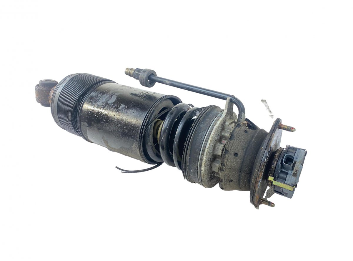 Mercedes-Benz A (W168) Shock Absorber Rear Left