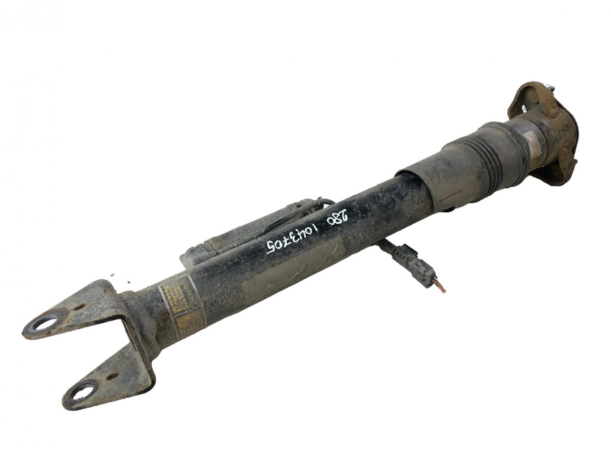 Mercedes-Benz A (W169) Shock Absorber Rear Left