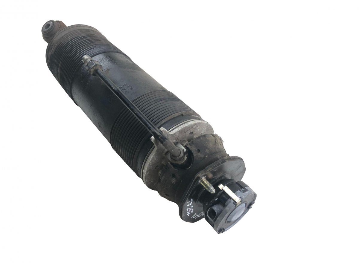 Mercedes-Benz A (W168) Shock Absorber Rear Left