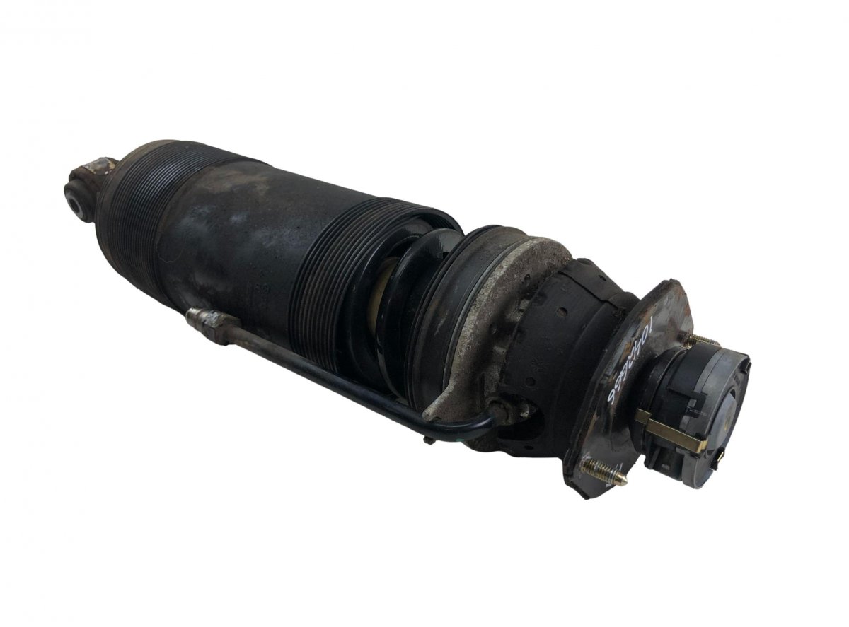 Mercedes-Benz A (W168) Shock Absorber Rear Left