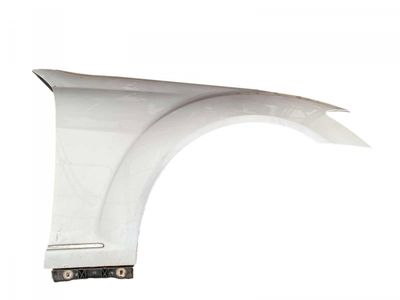 A2218800218 Fender Front Right MERCEDES-BENZ S-CLASS (W221) (2005-2013)