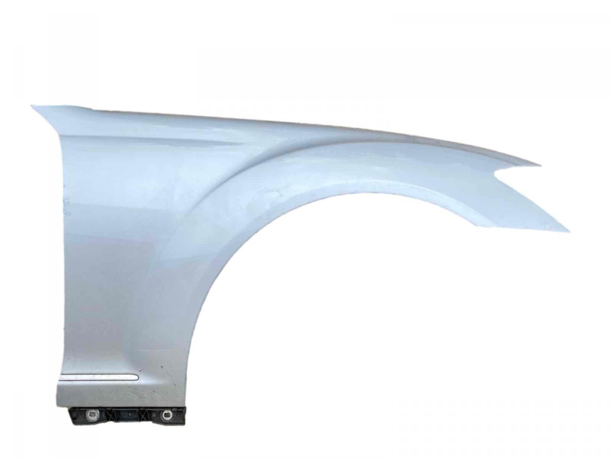 Mercedes-Benz A (W169) Fender Front Right A2218800218 Fender Front Right MERCEDES-BENZ S-...