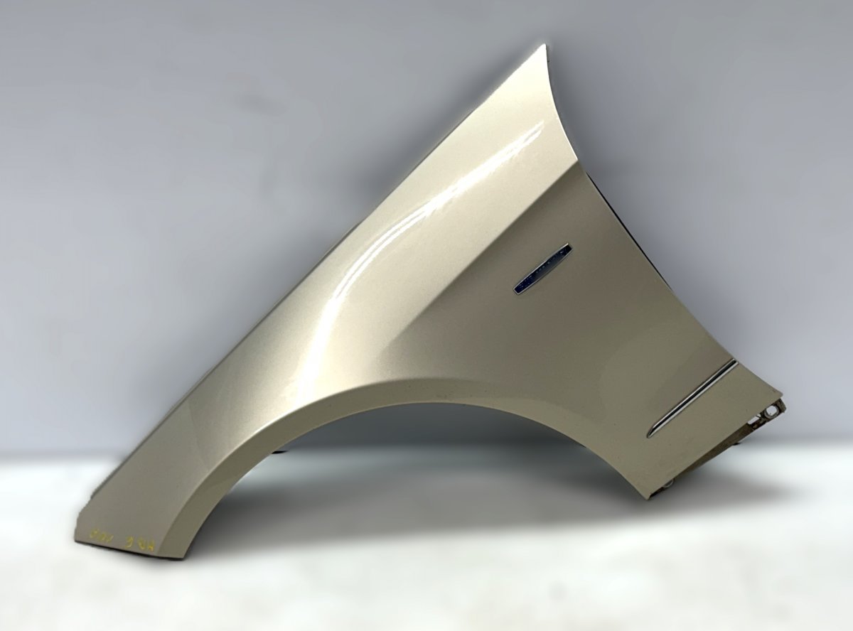 Mercedes-Benz A (W169) Fender Front Left