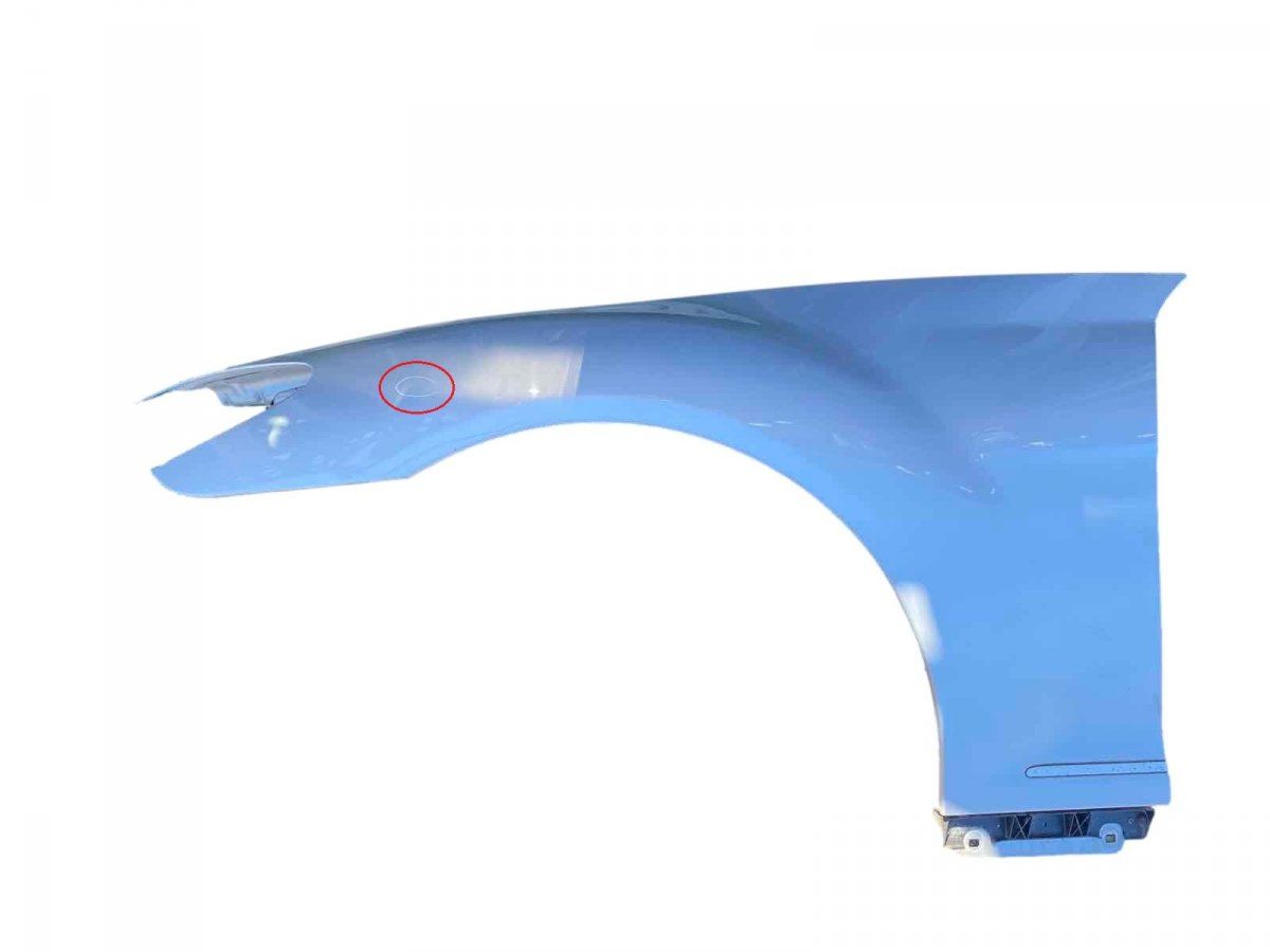 A2168800118 Fender Front Left MERCEDES-BENZ S-CLASS Coupe (C216) (2006-2013)