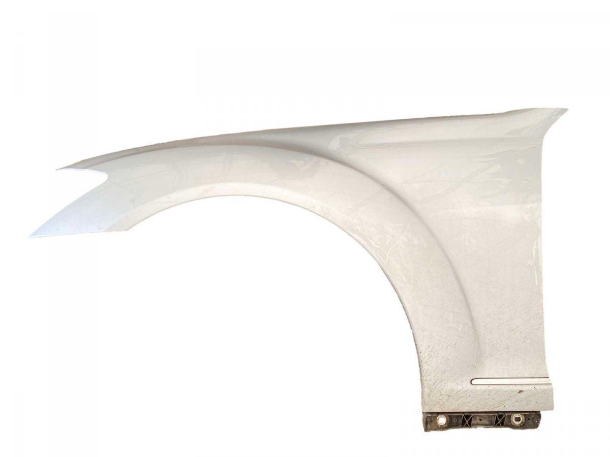 A2218800118 Fender Front Left MERCEDES-BENZ S-CLASS (W221) (2005-2013)