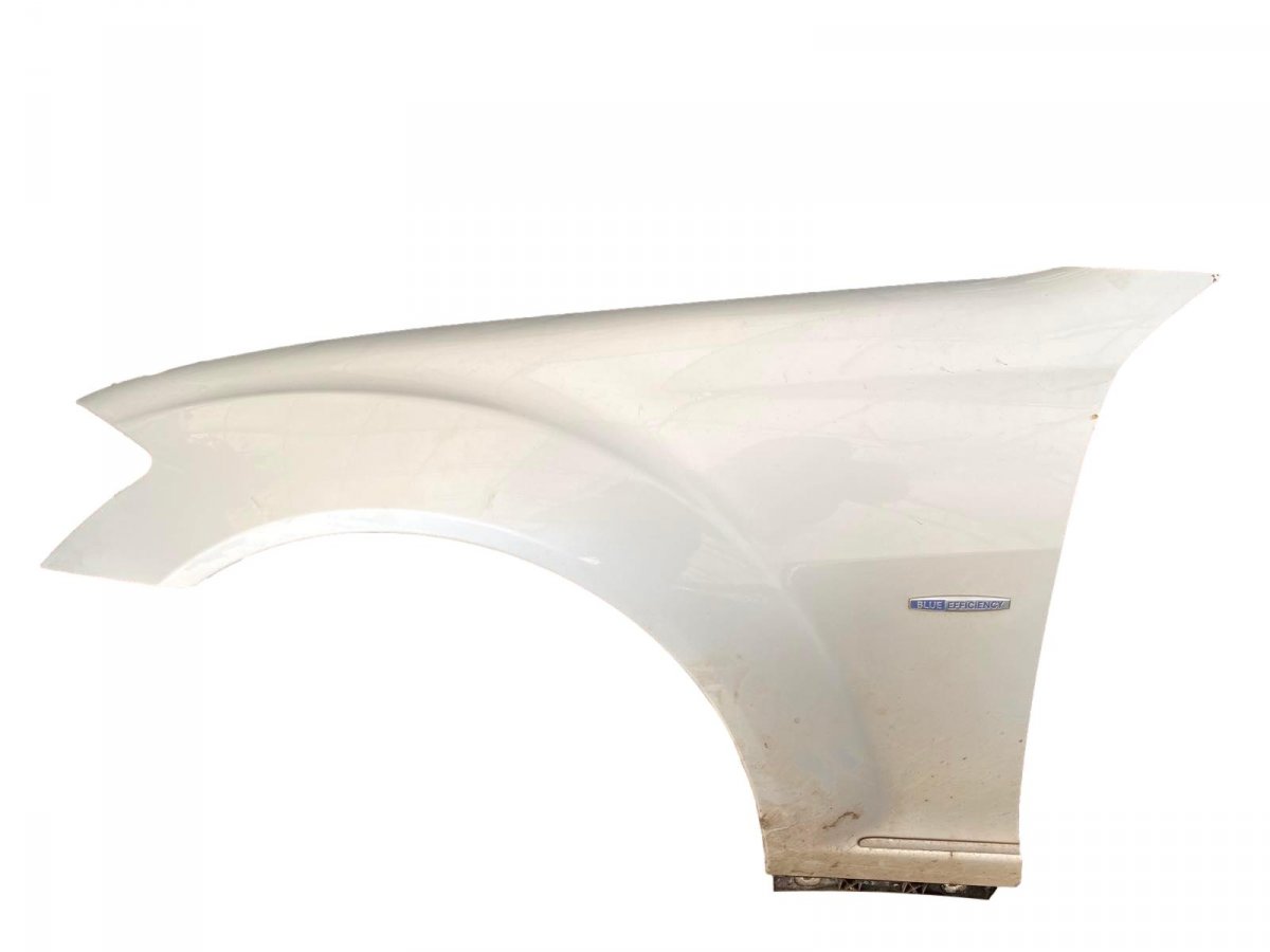Mercedes-Benz A (W169) Fender Front Left A2218800118 Fender Front Left MERCEDES-BENZ S-C...