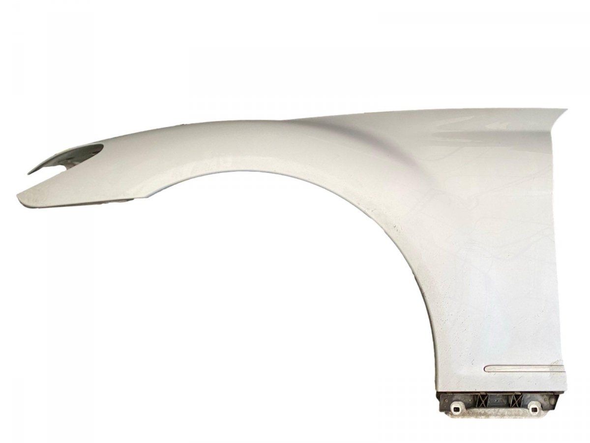 A2168800118 Fender Front Left MERCEDES-BENZ S-CLASS Coupe (C216) (2006-2013)