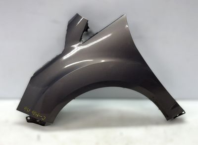 PAM51R16009AE Skärm Fram Vänster FORD C-MAX II (2010-2019)