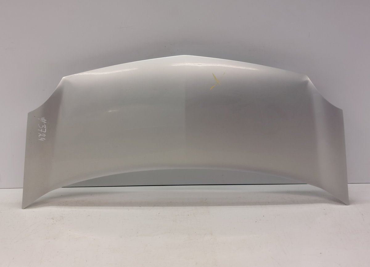 Renault Kangoo bonnet 651003220R Bonnet RENAULT KANGOO II (FW, KW) (2...