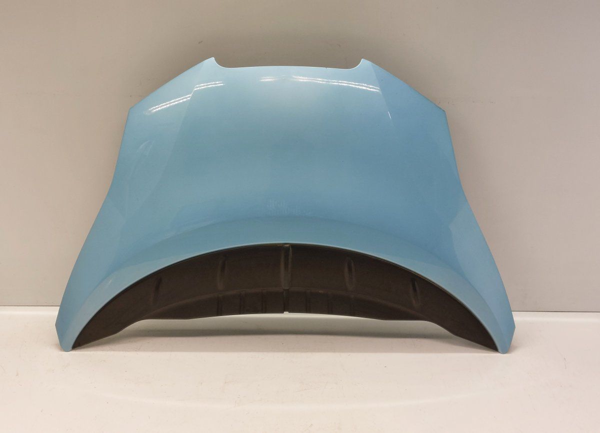 F510M3NAMB Bonnet NISSAN LEAF I (ZE0) (2010-2017)