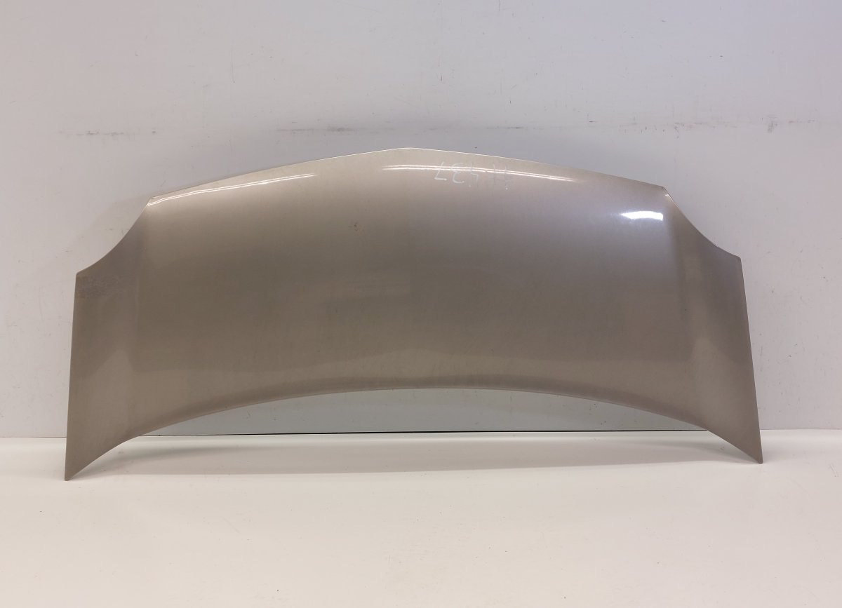 Renault Kangoo bonnet 651329338R Bonnet RENAULT KANGOO II (FW, KW) (2...