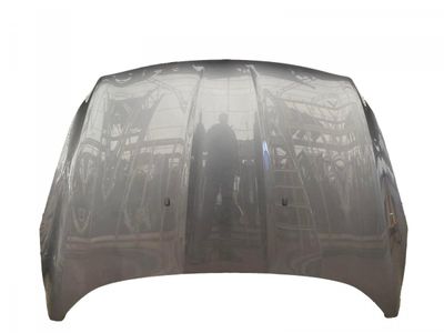 5262148 Motorhaube FORD KUGA II (DM2, TF) (2012-2019)
