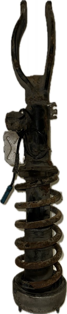 BMW X5 (E70) Suspension Leg Front Left