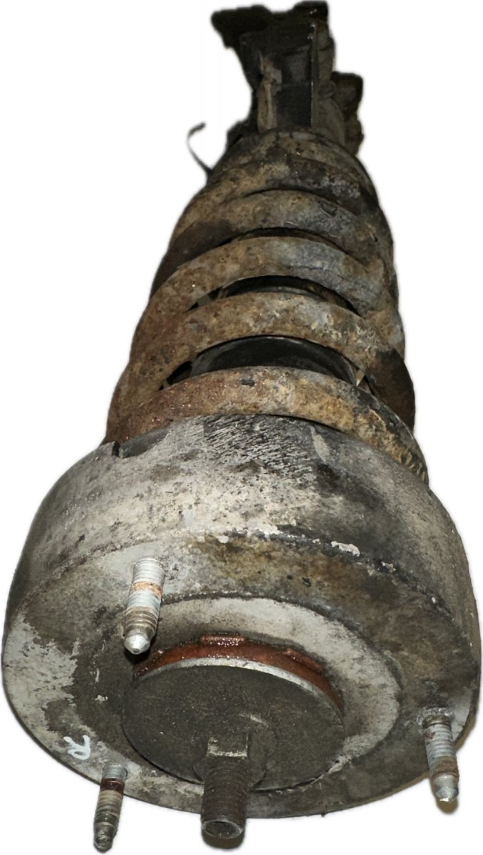 BMW X5 (E70) Suspension Leg Front Right