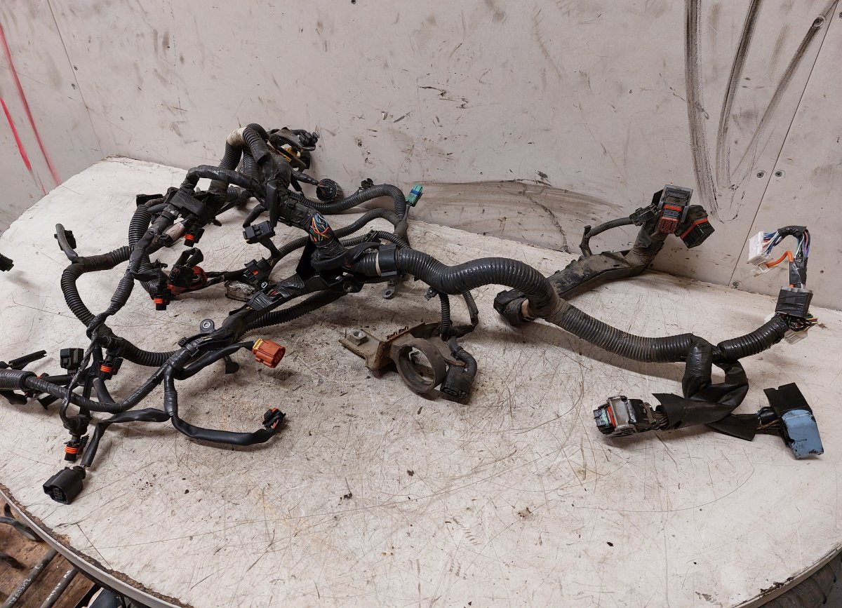 Nissan X-Trail Engine wiring harness Engine wiring harness NISSAN X-TRAIL II (T31) (...