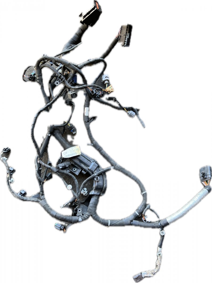 Land Rover Range Rover Sport (L494) Engine wiring harness FPLA9H589CF Engine wiring harness LAND ROVER RA...