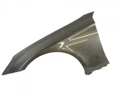 A2198800718 Kotflügel Vorne Links MERCEDES-BENZ CLS (C219) (2004-2010)
