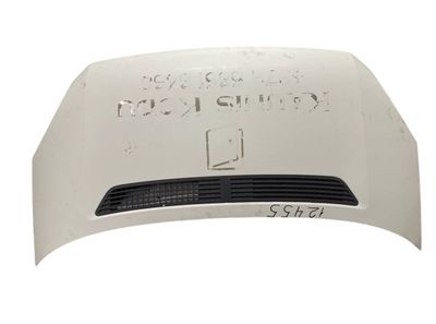 Motorhaube VW CRAFTER I (2E) (2006-2016)