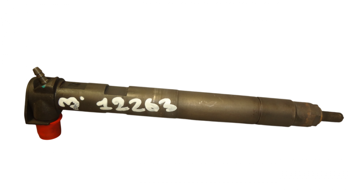 Opel Antara Fuel Injector