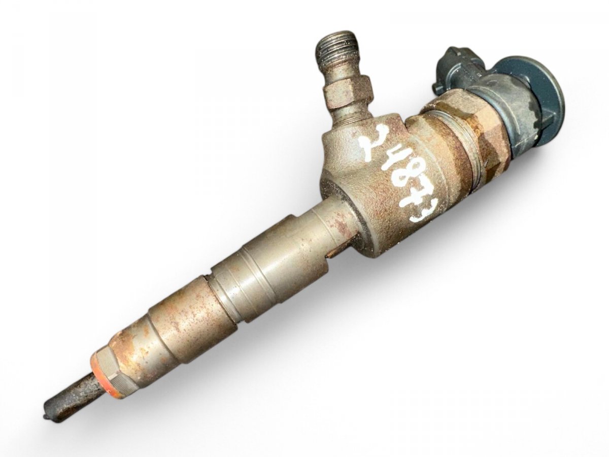 Citroen C4 Fuel Injector