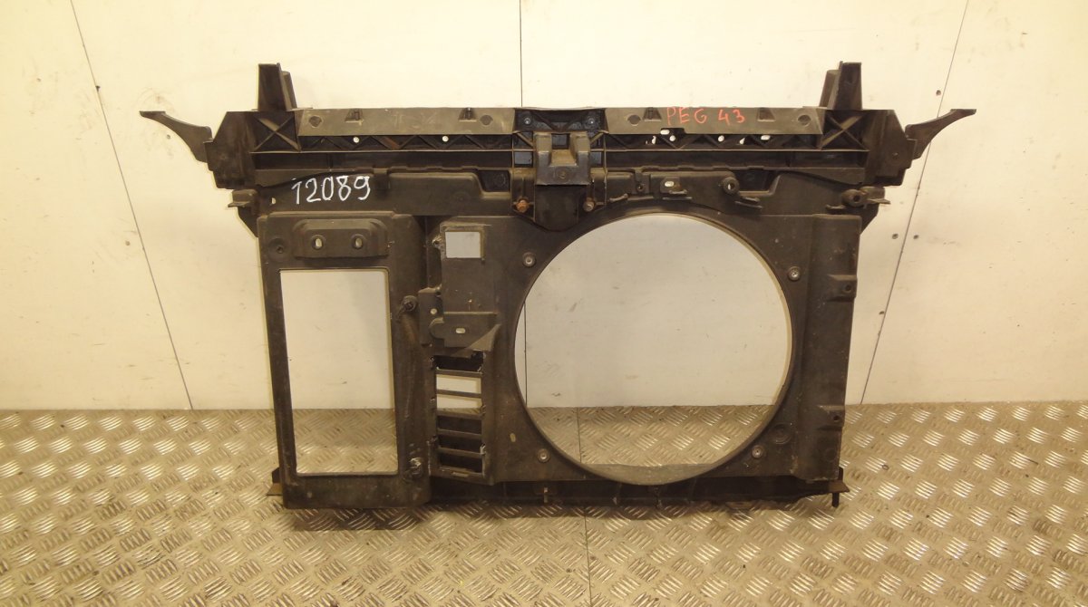 Peugeot 3008 Front panel 1231559X Front panel PEUGEOT 3008 I (T84) (2009...