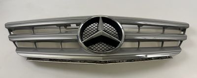A1698881660 Atrapa chłodnicy MERCEDES-BENZ KLASA B (W245) (2005-2011)
