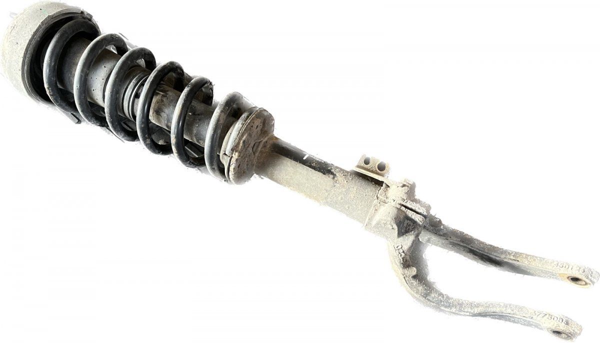 Suspension Leg Front Left BMW X5 (E70) (2007-2013)