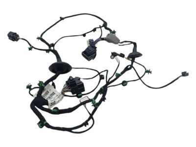 FERRARI PUROSANGUE F175 Wiring Loom 845641 FL DOOR