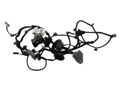 FERRARI PUROSANGUE F175 Wiring Loom 845582