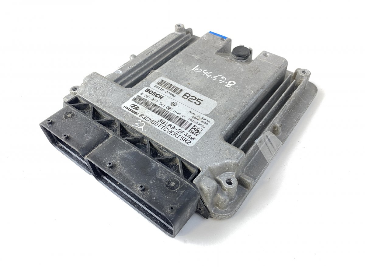 Hyundai Santa Fe Engine Control Unit / module (ECU) 0281017541 Engine Control Unit / module (ECU) H...