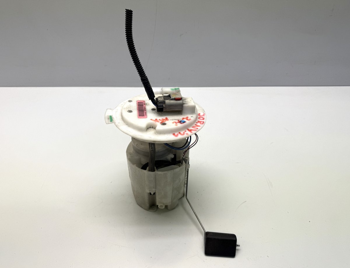 Dodge Journey Fuel delivery pump