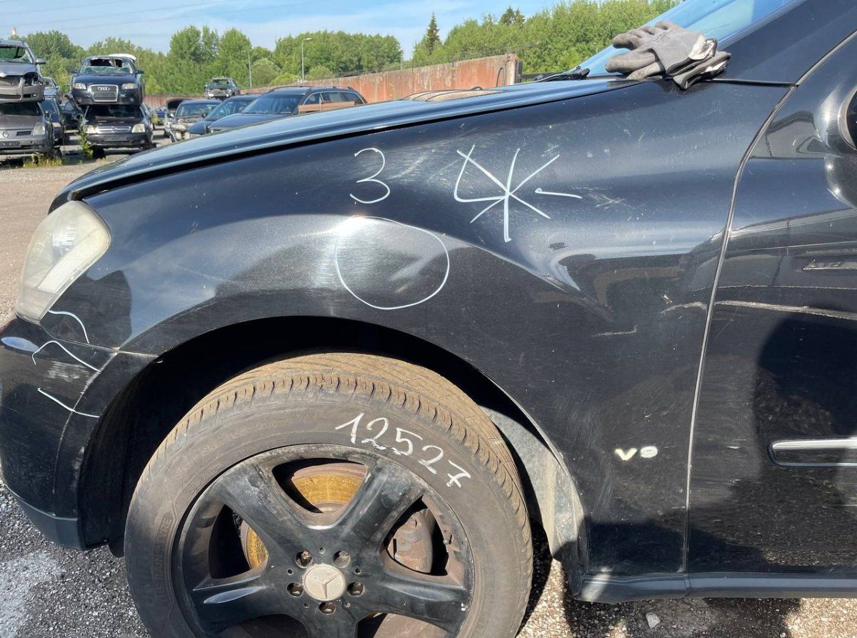 1648810101 Fender Front Left MERCEDES-BENZ ML-CLASS (W164) (2005-2011)