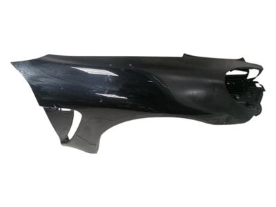PORSCHE Panamera 970 Right Wing 97050303203