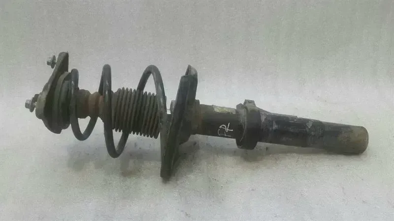 Porsche Boxster (987) Shock Absorber Front