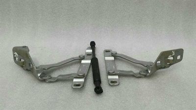 Комплект петель для задней двери Porsche Boxster 987 Boat Hinge 98751215100